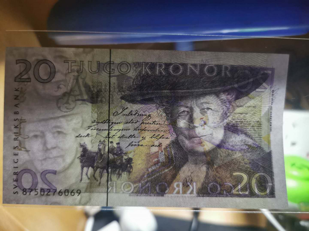 【鲸贝乐淘】千字文·第“节义廉退，颠沛匪亏”号拍卖 【瑞典🇸🇪 】20克朗，骑鹅旅行，两连号，全新全品UNC 