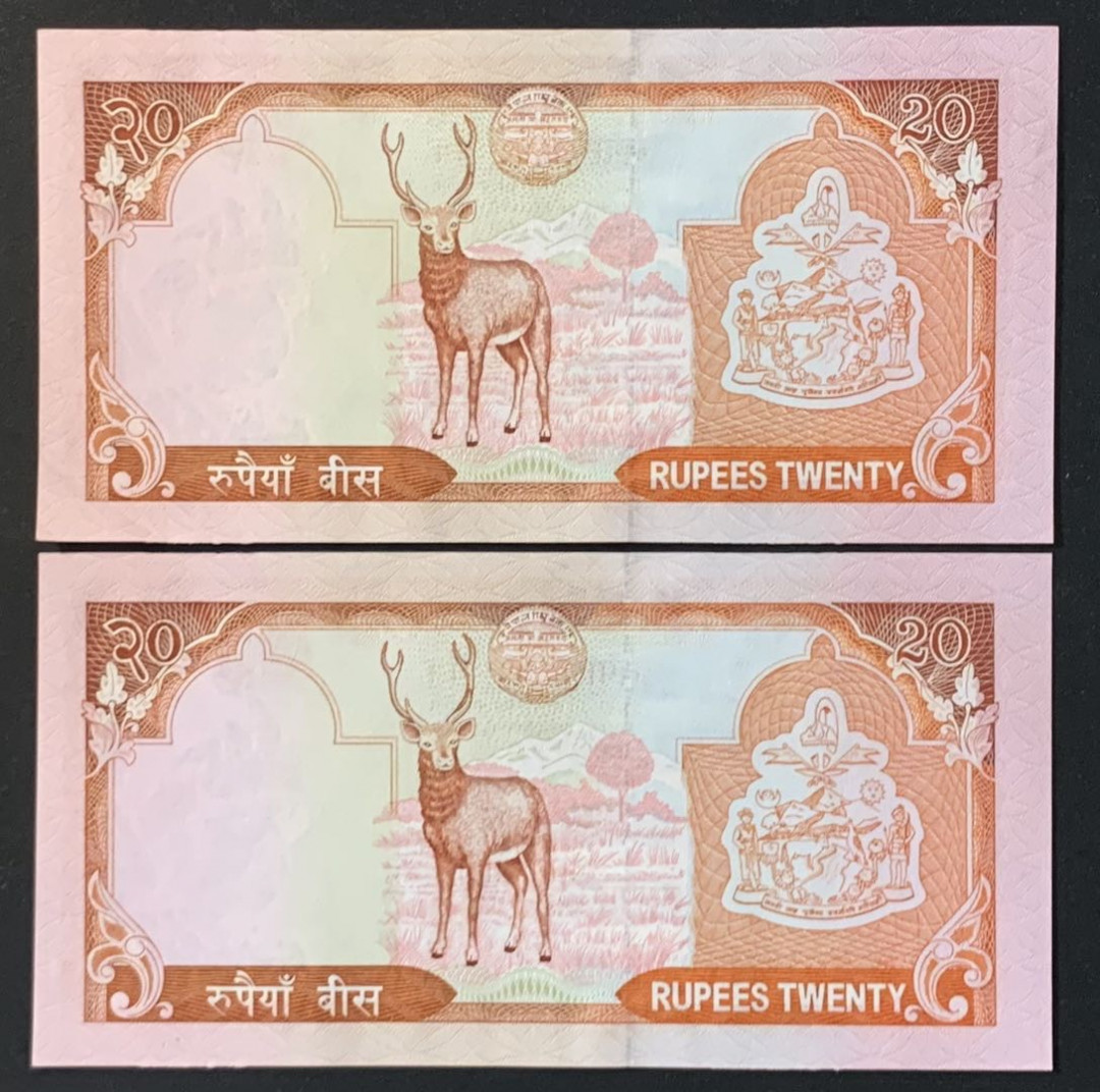 紫瑗钱币——微拍第105期—纸币场 尼泊尔 2005年 贾南德拉国王 10卢比 2枚一组 UNC （P-54）
