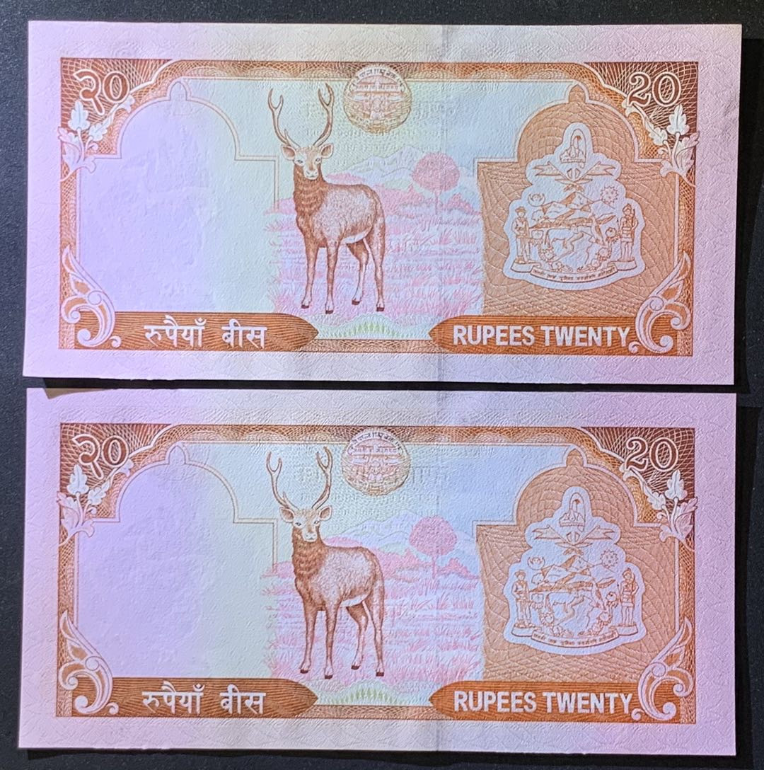 紫瑗钱币——微拍第105期—纸币场 尼泊尔 2005年 贾南德拉国王 10卢比 2枚一组 UNC （P-54）
