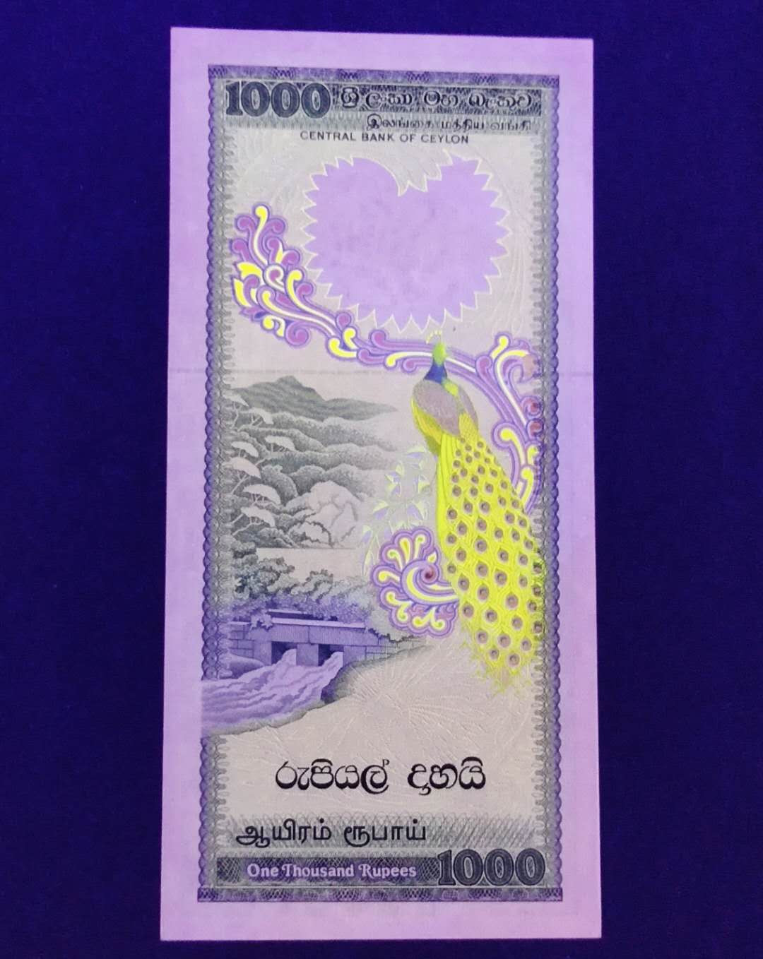 【Blue Auction】世界纸币精拍第23期—— 锡兰佛国(共50拍） 【初版】斯里兰卡 1981年1000卢比 全新UNC 孔雀