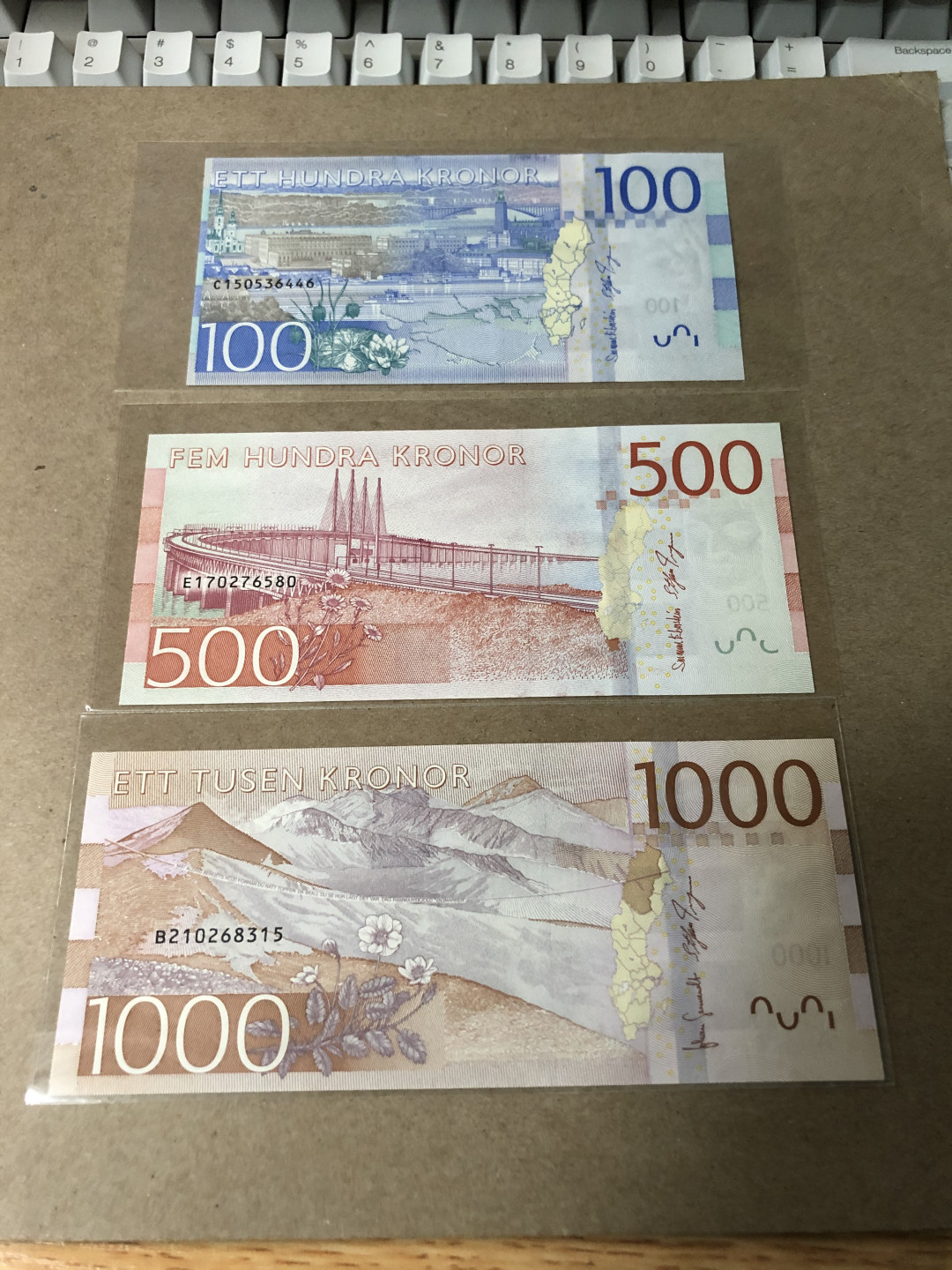 【Blue Auction】世界纸币精拍第23期—— 锡兰佛国(共50拍） 【一组3张】瑞典 新版 1000-500-100克朗 全新UNC