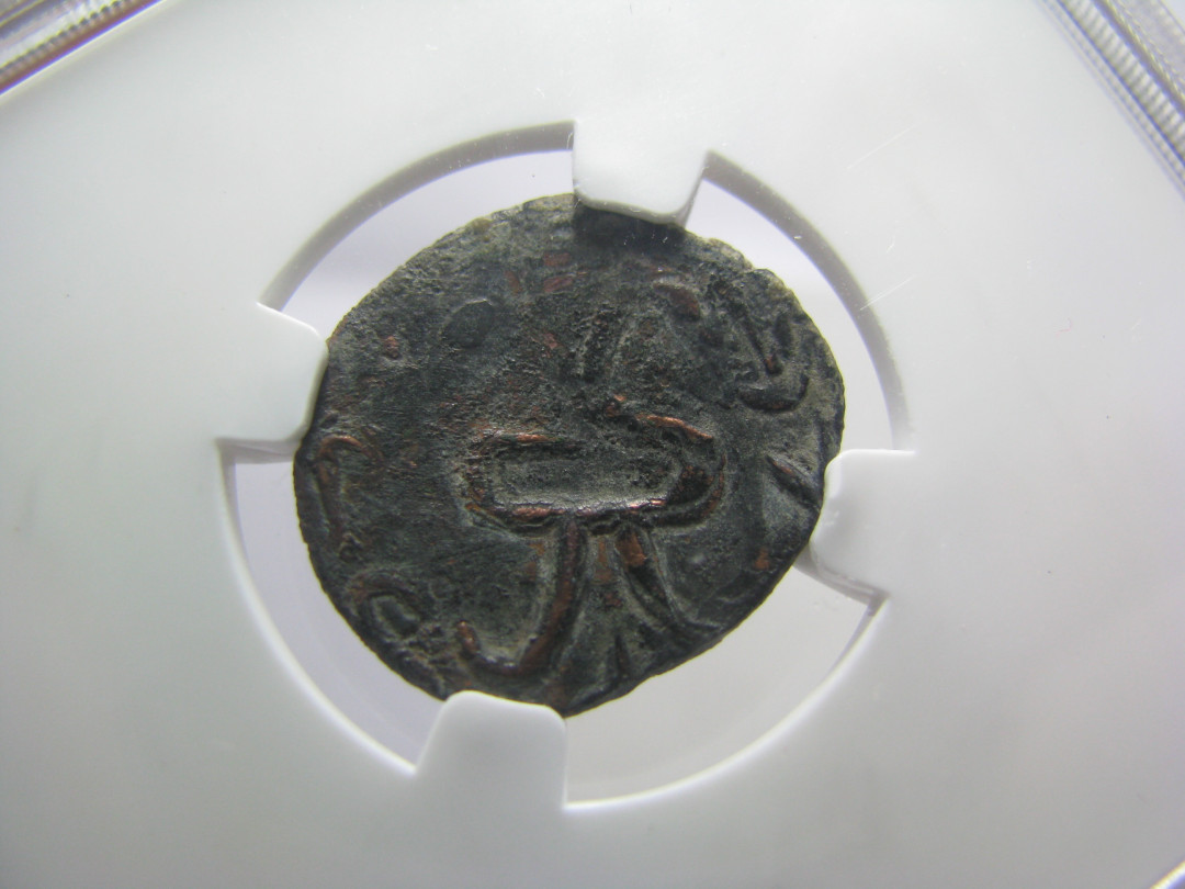 丝路古币 昭武九姓之石国铜币