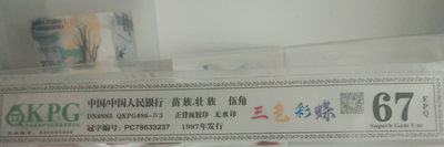钱坤，爱藏 - 三色彩蝶