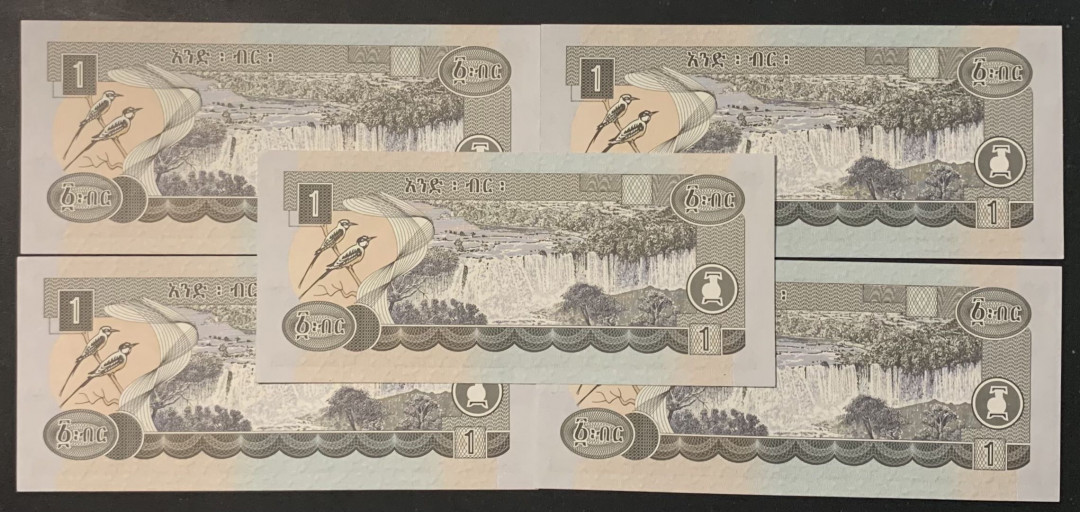 紫瑗钱币——微拍第108期—纸币场 埃塞俄比亚 1998 2006年 1比尔 5枚一组 UNC （P-46d)