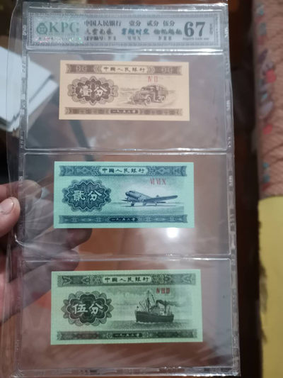 放漏专场 - 荧光纸分币套评