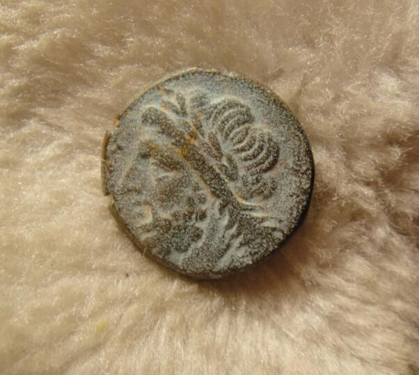 阿尔特米德古典钱币中国微拍第六期 古希腊 意大利半岛 阿普利亚 阿尔皮城邦铜币