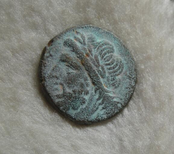 阿尔特米德古典钱币中国微拍第六期 古希腊 意大利半岛 阿普利亚 阿尔皮城邦铜币