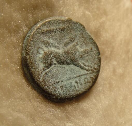 阿尔特米德古典钱币中国微拍第六期 古希腊 意大利半岛 阿普利亚 阿尔皮城邦铜币