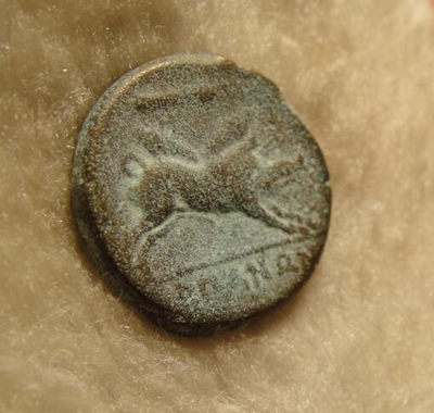 阿尔特米德古典钱币中国微拍第六期 古希腊 意大利半岛 阿普利亚 阿尔皮城邦铜币