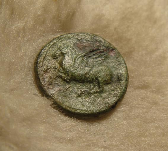 阿尔特米德古典钱币中国微拍第六期 古希腊 西西里岛 叙拉古城邦 阿波罗飞马铜币