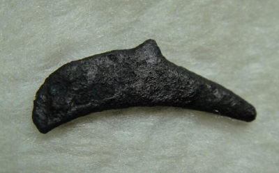 阿尔特米德古典钱币中国微拍第六期 古希腊 黑海奥尔比亚 海豚型铜币