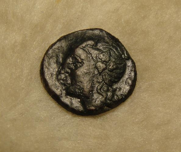 阿尔特米德古典钱币中国微拍第六期 古希腊意大利半岛 卢卡尼亚 梅塔庞顿城邦 谷物女神铜币 