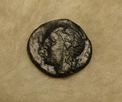 阿尔特米德古典钱币中国微拍第六期 古希腊意大利半岛 卢卡尼亚 梅塔庞顿城邦 谷物女神铜币 