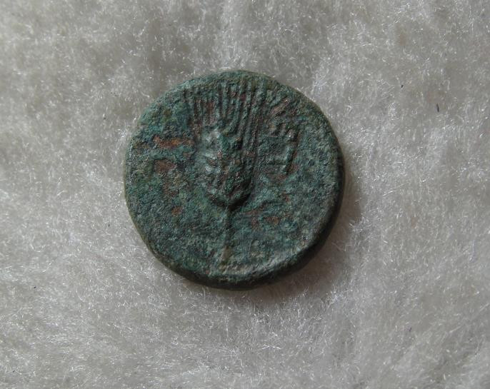 阿尔特米德古典钱币中国微拍第六期 古希腊意大利半岛 卢卡尼亚 梅塔庞顿城邦 谷物女神铜币