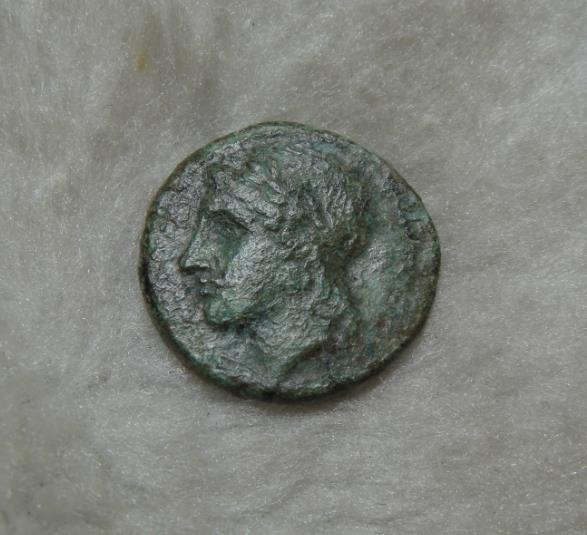 阿尔特米德古典钱币中国微拍第六期 古希腊 西西里岛 叙拉古城邦 阿波罗飞马铜币