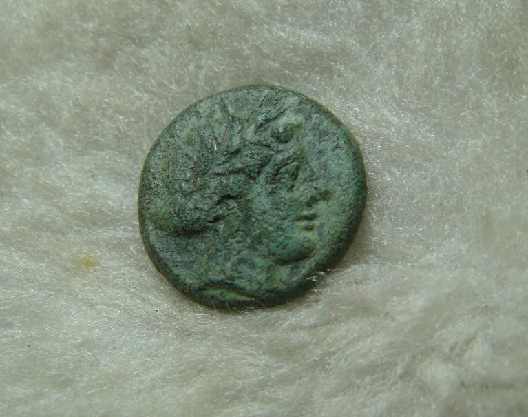 阿尔特米德古典钱币中国微拍第六期 古希腊意大利半岛 卢卡尼亚 梅塔庞顿城邦 谷物女神铜币