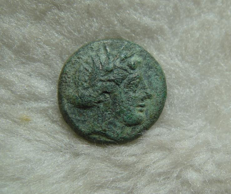 阿尔特米德古典钱币中国微拍第六期 古希腊意大利半岛 卢卡尼亚 梅塔庞顿城邦 谷物女神铜币