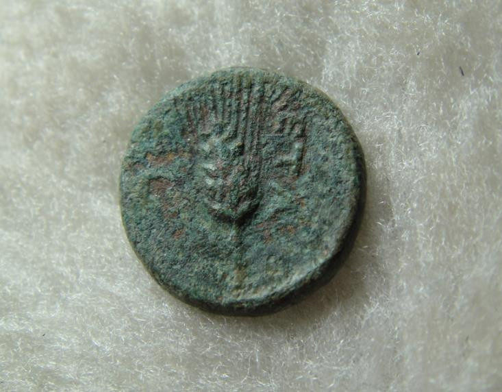 阿尔特米德古典钱币中国微拍第六期 古希腊意大利半岛 卢卡尼亚 梅塔庞顿城邦 谷物女神铜币