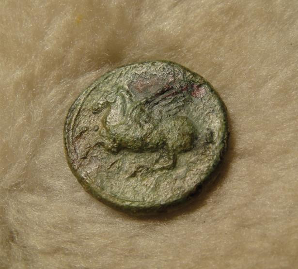 阿尔特米德古典钱币中国微拍第六期 古希腊 西西里岛 叙拉古城邦 阿波罗飞马铜币