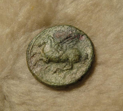 阿尔特米德古典钱币中国微拍第六期 古希腊 西西里岛 叙拉古城邦 阿波罗飞马铜币