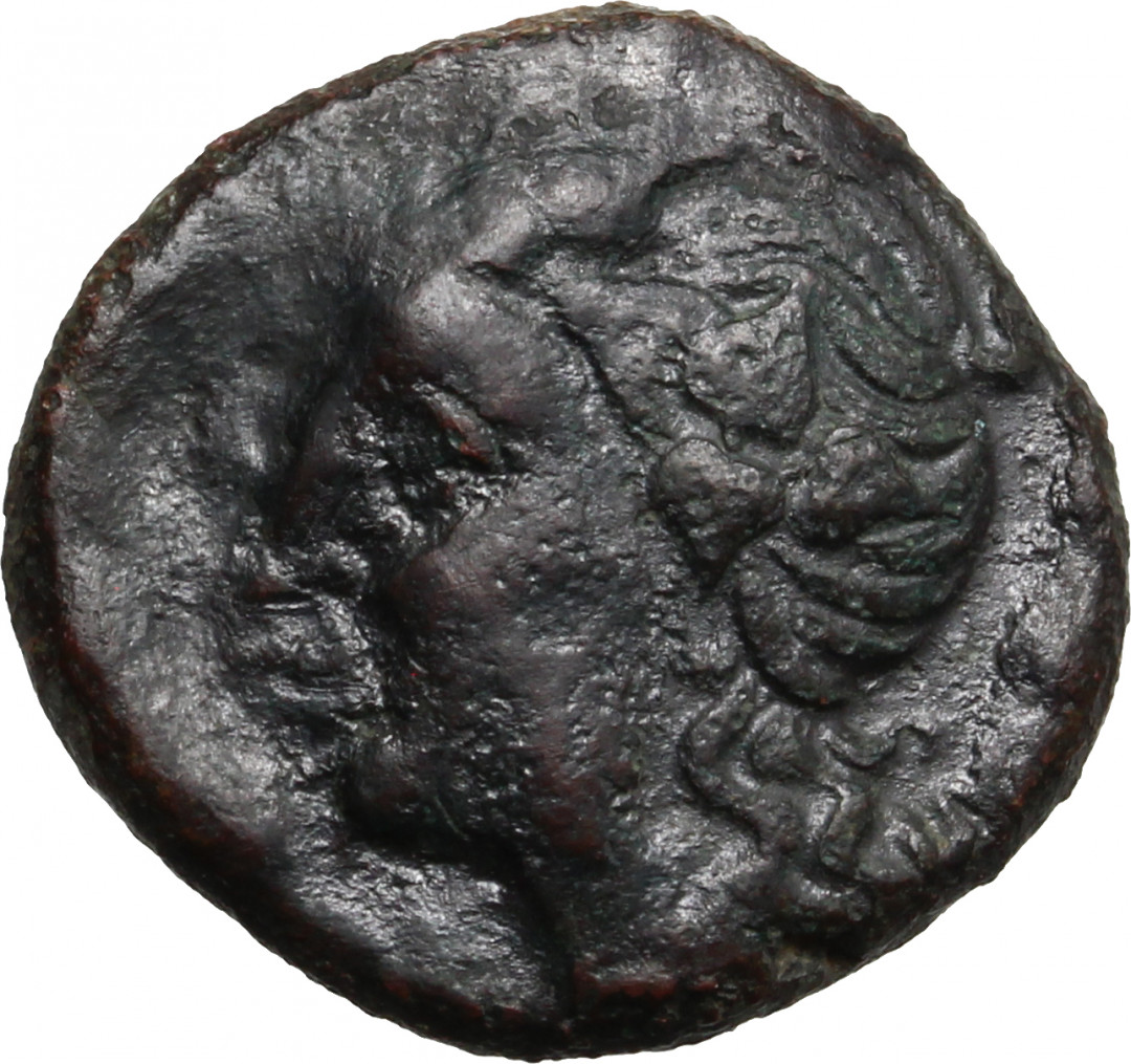 阿尔特米德古典钱币中国微拍第六期 古希腊意大利半岛 卢卡尼亚 梅塔庞顿城邦 谷物女神铜币 