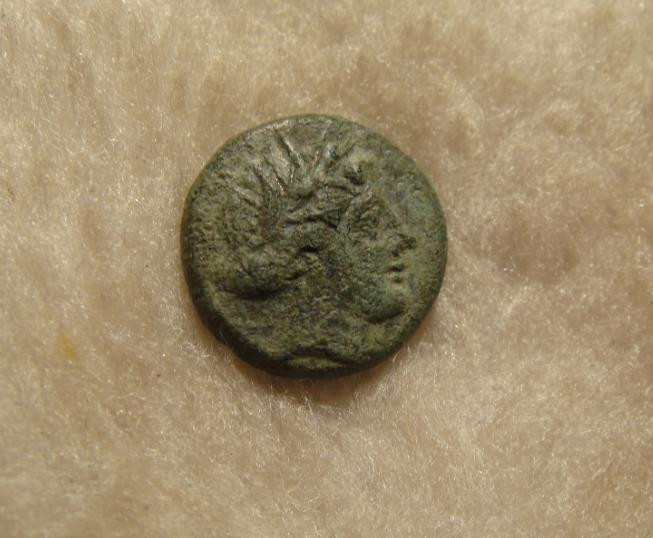 阿尔特米德古典钱币中国微拍第六期 古希腊意大利半岛 卢卡尼亚 梅塔庞顿城邦 谷物女神铜币