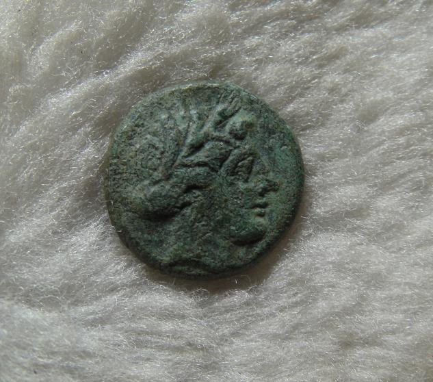 阿尔特米德古典钱币中国微拍第六期 古希腊意大利半岛 卢卡尼亚 梅塔庞顿城邦 谷物女神铜币