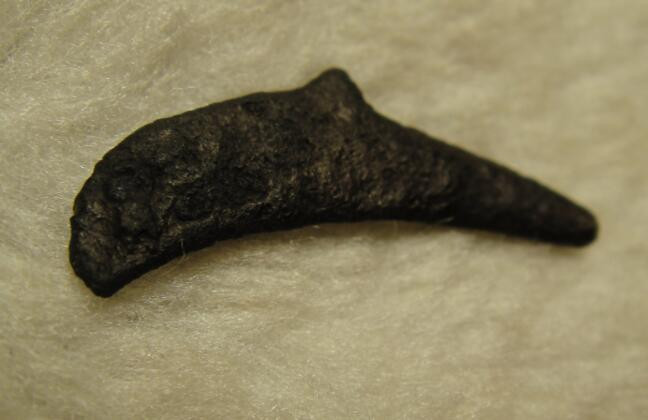 阿尔特米德古典钱币中国微拍第六期 古希腊 黑海奥尔比亚 海豚型铜币