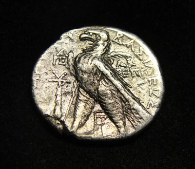 阿尔特米德古典钱币中国微拍第六期 古希腊 塞琉古帝国 德米特里二世 四德拉克马银币