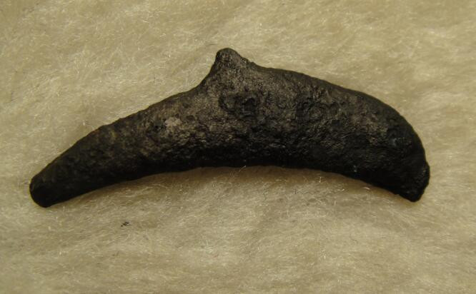 阿尔特米德古典钱币中国微拍第六期 古希腊 黑海奥尔比亚 海豚型铜币