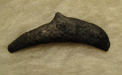 阿尔特米德古典钱币中国微拍第六期 古希腊 黑海奥尔比亚 海豚型铜币