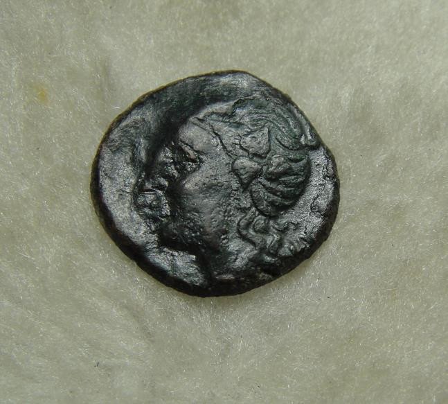 阿尔特米德古典钱币中国微拍第六期 古希腊意大利半岛 卢卡尼亚 梅塔庞顿城邦 谷物女神铜币 