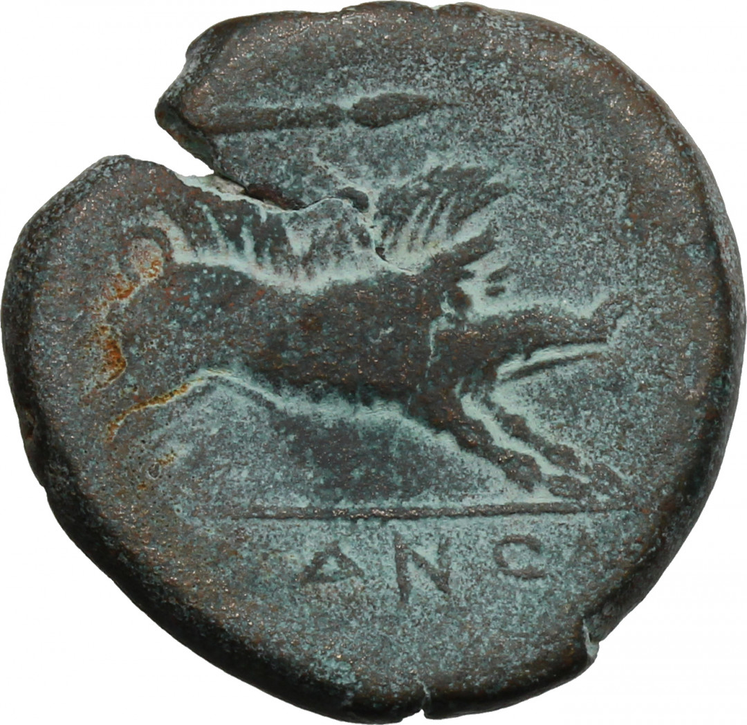 阿尔特米德古典钱币中国微拍第七期 古希腊 意大利半岛 阿普利亚 阿尔皮城邦铜币