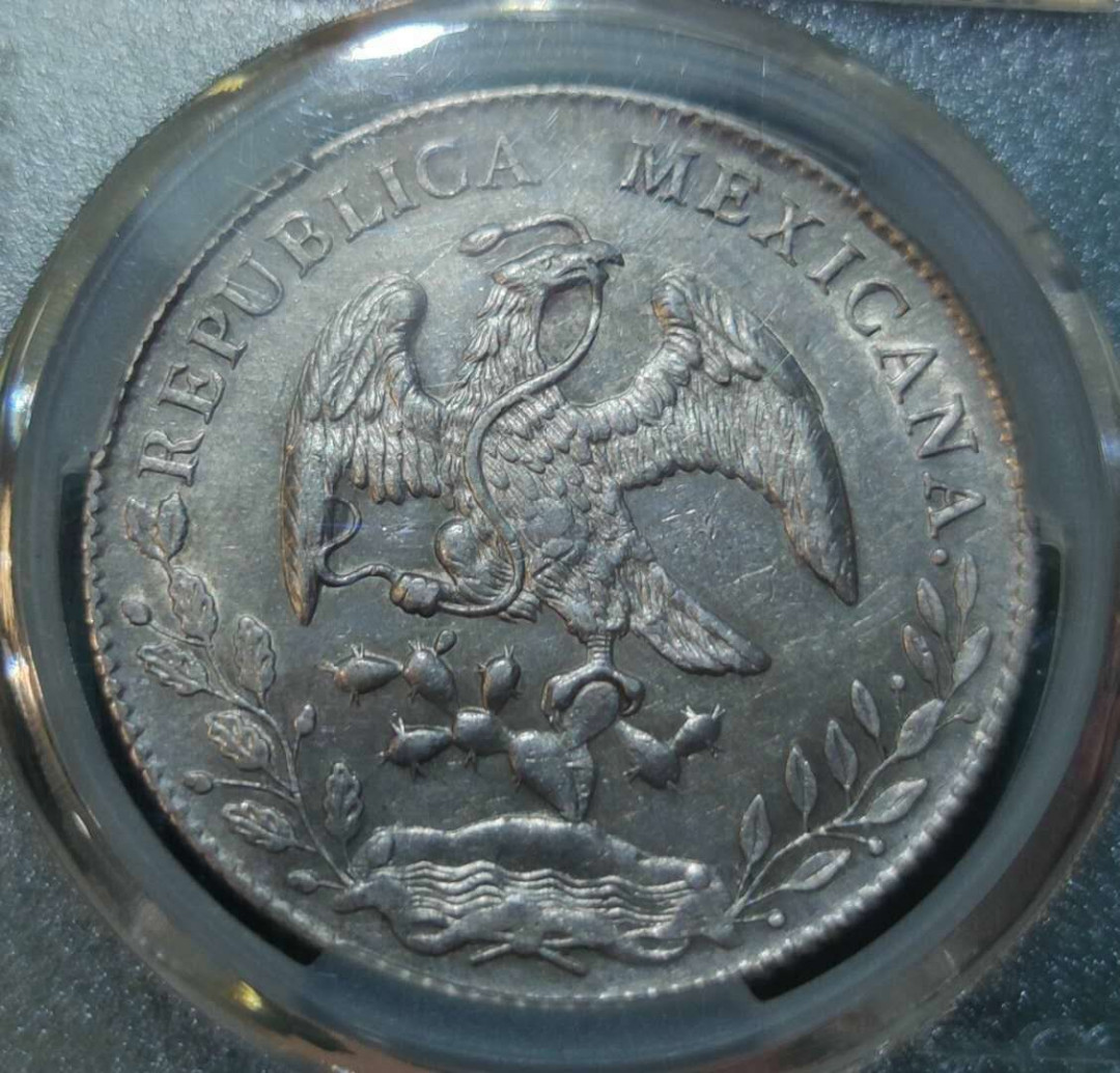 燕姐换藏第三十八拍 1886年墨西哥鹰洋银币