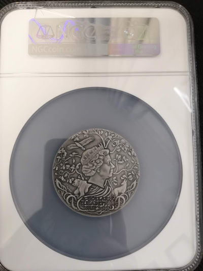 【随心拍&Getcoins】钱币拍卖第七十一期 斯拉夫神系列第一枚雷神2蛊司仿古银币