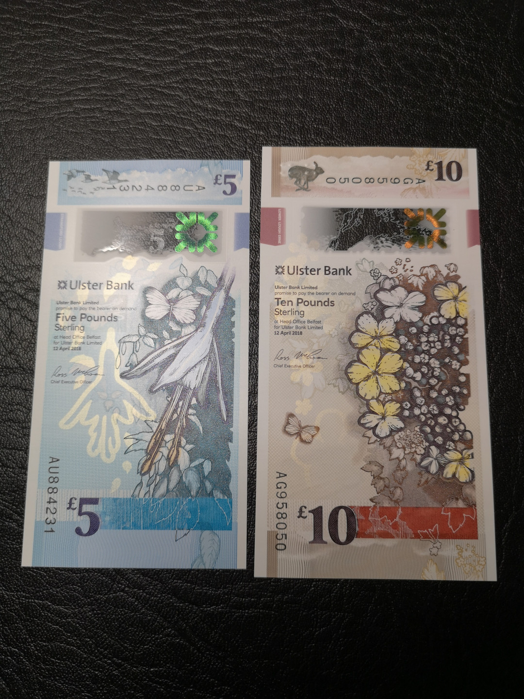 《外钞收藏家》第八十八期拍卖 北爱尔兰最新版塑料钞 两张 10、5两张面额  全新绝品 