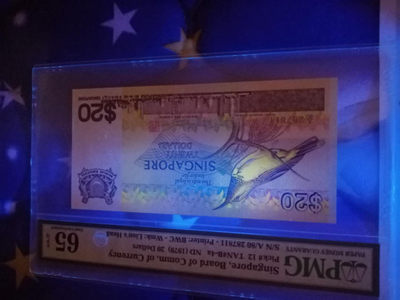 【鲸贝乐淘】千字文·第“肆筵设席，鼓瑟吹笙”号拍卖 【新加坡🇸🇬 】2007年20元，鸟版，PMG65E 