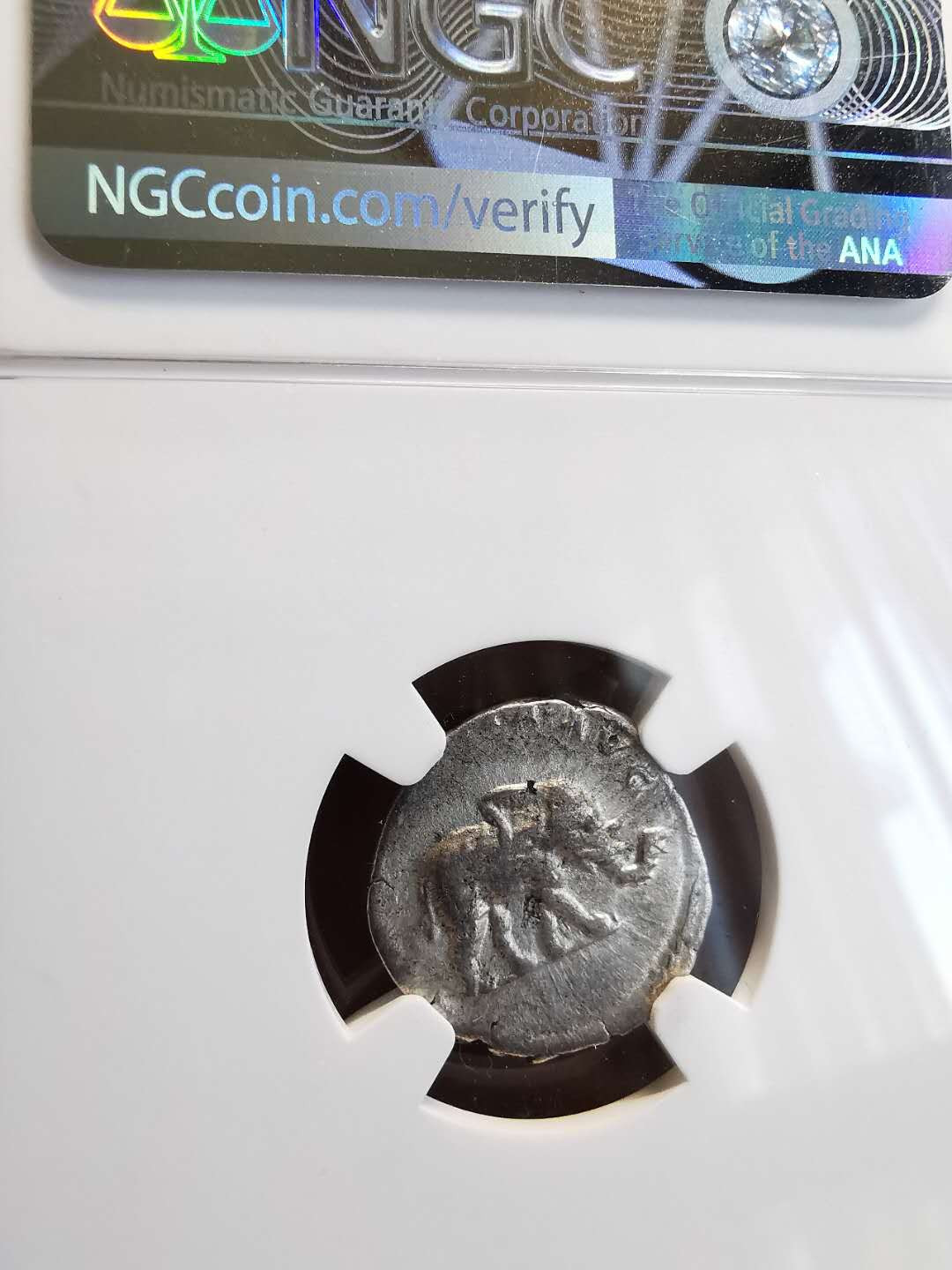 凡希社世界钱币微拍第一百三十六期 古罗马大象DINARIUS银币NGC-VF