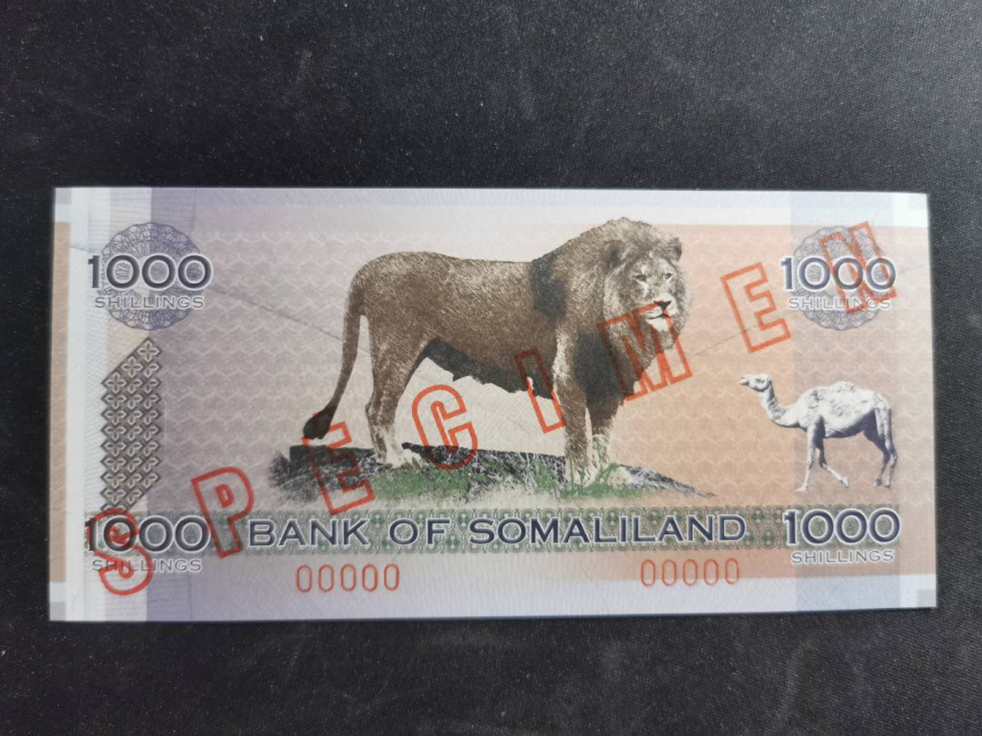 【鲸贝乐淘】千字文·第“升阶纳陛，弁转疑星”号拍卖 【索马里兰·票样】2006年1000先令，票样样币，全新全品UNC ，黑妞和狮子🦁，独立15周年纪念钞 
