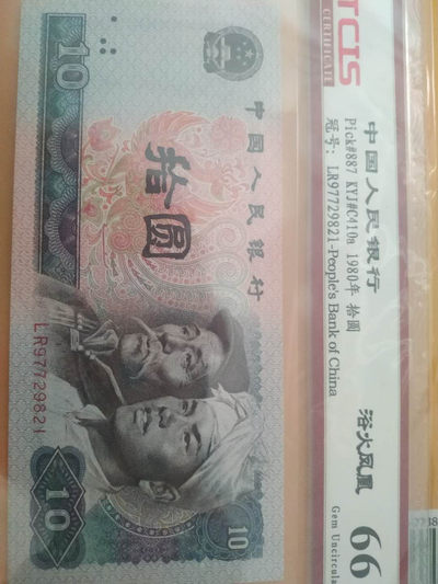 浴火凤凰 - 浴火凤凰