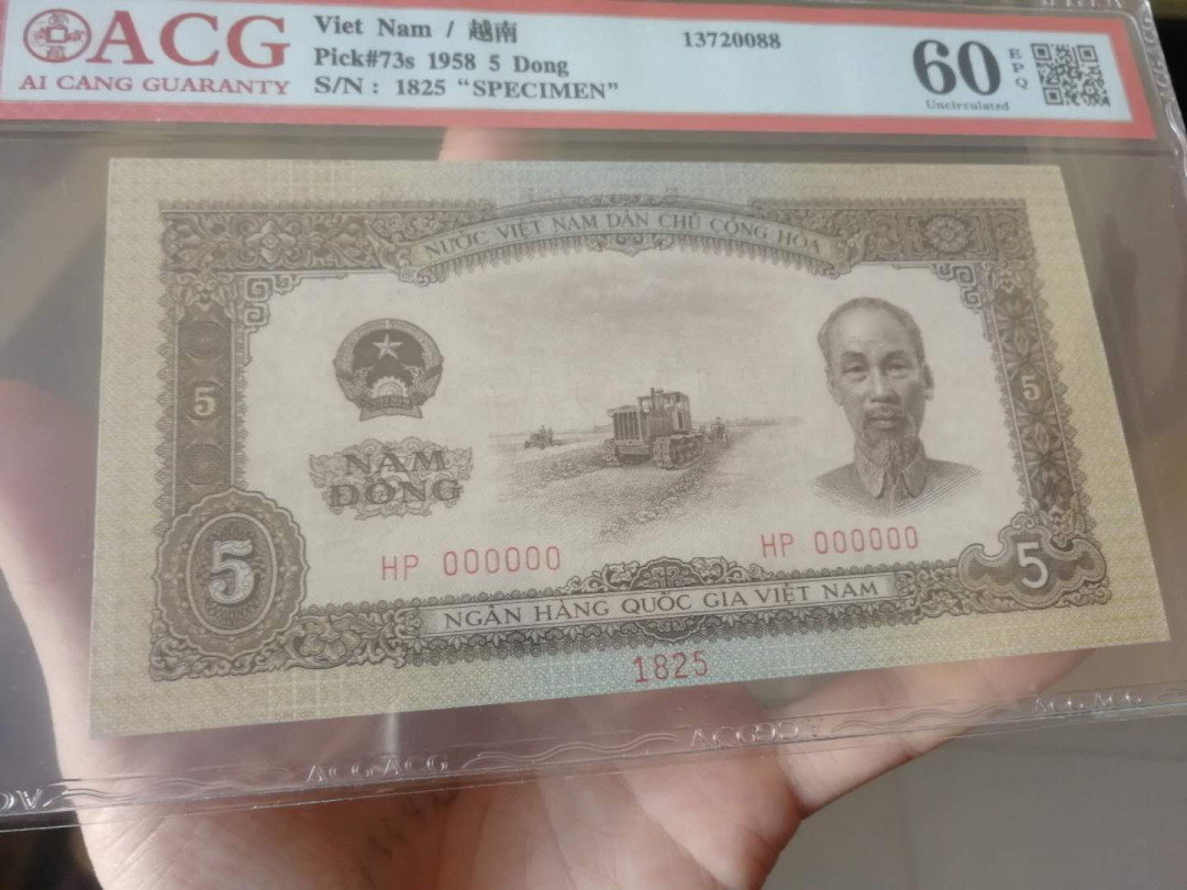【鲸贝乐淘】千字文·第“右通广内，左达承明”号拍卖 【中国代印·票样】1958年越南🇻🇳 5盾，票样样币，海鸥星水印，爱藏60E，稀有品种