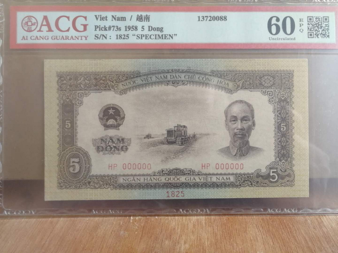 【鲸贝乐淘】千字文·第“右通广内，左达承明”号拍卖 【中国代印·票样】1958年越南🇻🇳 5盾，票样样币，海鸥星水印，爱藏60E，稀有品种