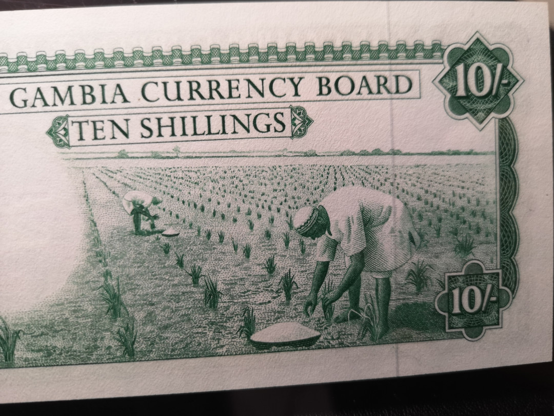 《外钞收藏家》第九十期 拍卖 冈比亚1965-70年 10先令 pmg67 BWC版