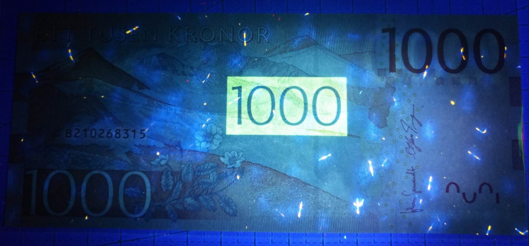 《张总收藏》第四期——裸币天堂 (3张1组)瑞典1000克朗，100克朗，50克朗UNC