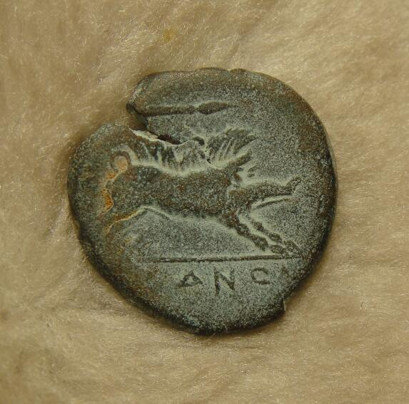 阿尔特米德古典钱币中国微拍第七期 古希腊 意大利半岛 阿普利亚 阿尔皮城邦铜币