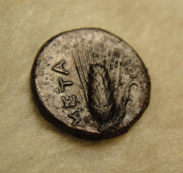 阿尔特米德古典钱币中国微拍第七期 古希腊意大利半岛 卢卡尼亚 梅塔庞顿城邦 大力神铜币