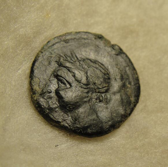 阿尔特米德古典钱币中国微拍第七期 古希腊意大利半岛 布鲁提姆 布雷蒂城邦铜币