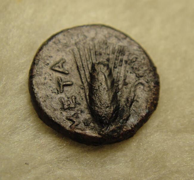 阿尔特米德古典钱币中国微拍第七期 古希腊意大利半岛 卢卡尼亚 梅塔庞顿城邦 大力神铜币