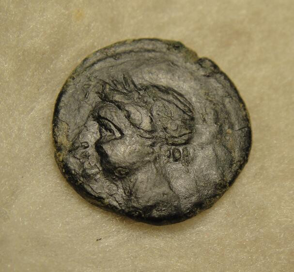 阿尔特米德古典钱币中国微拍第七期 古希腊意大利半岛 布鲁提姆 布雷蒂城邦铜币