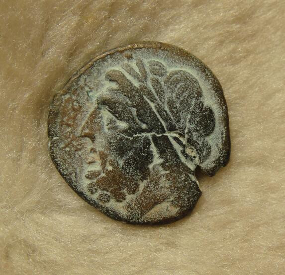 阿尔特米德古典钱币中国微拍第七期 古希腊 意大利半岛 阿普利亚 阿尔皮城邦铜币